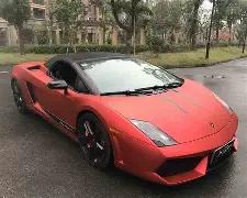 俞灏明王晓,晨欧洲蜜月,之旅,乐鱼体育官网,APP下载,注册领彩金,官方网站,网站入口