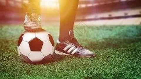 乐鱼体育 产品 113241 kbu