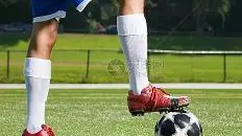 乐鱼体育 产品 112300 iv5