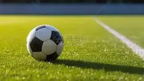 乐鱼体育 产品 113202 e61