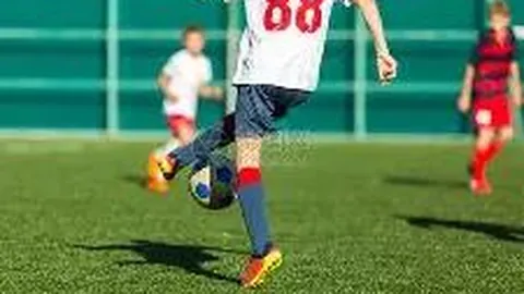 乐鱼体育 资讯 093302 mp6