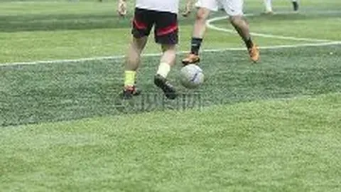 乐鱼体育 产品 100351 5ap